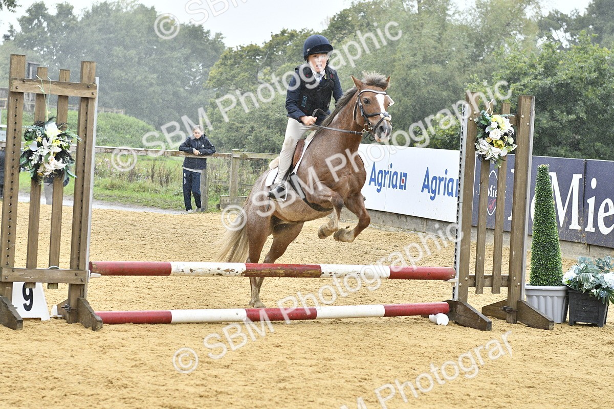 SBM_70980 - J3 - Mini Tour Junior Pony 40cm championship