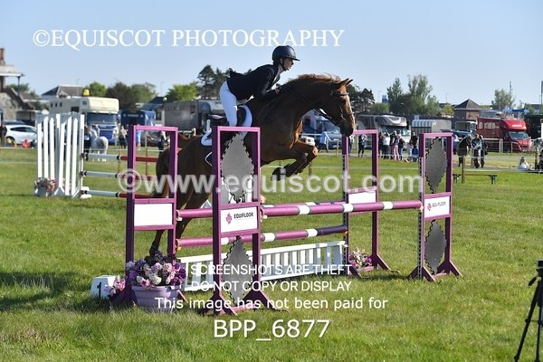 BPP_6877 - CLASS 1 Senior Newcomers/ 1.10m Open