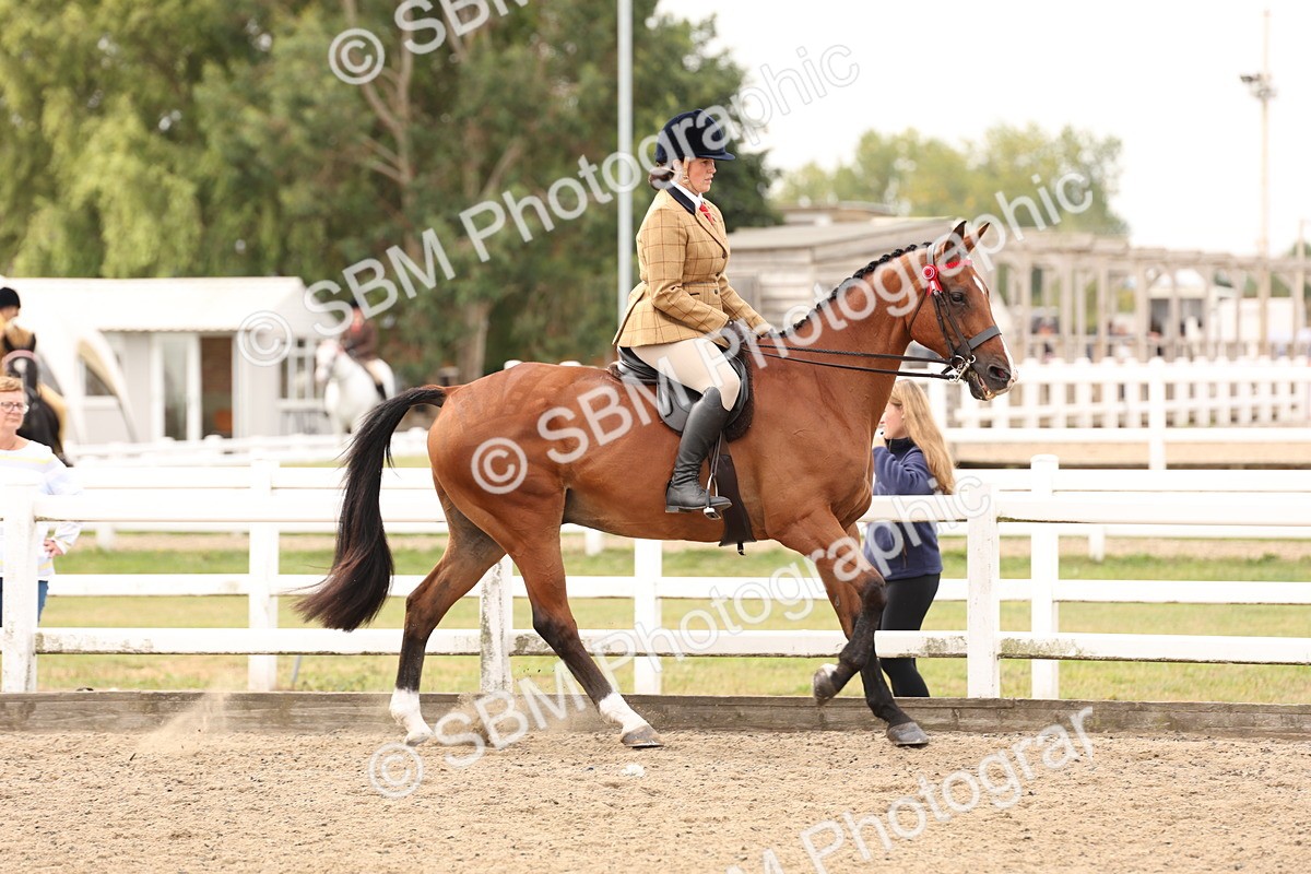 SBM_02819 - Class 53 - Ridden Competition Horse/Pony