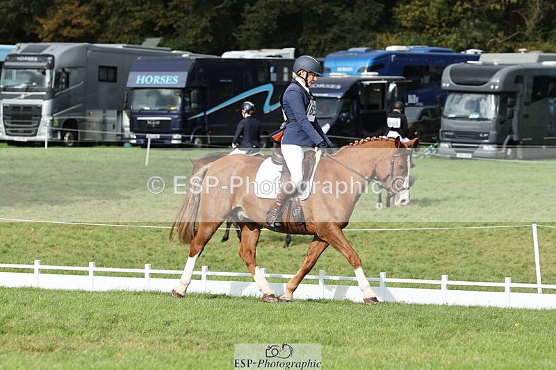 251024A-134738-12662 - H-654-Philippa.Skelton