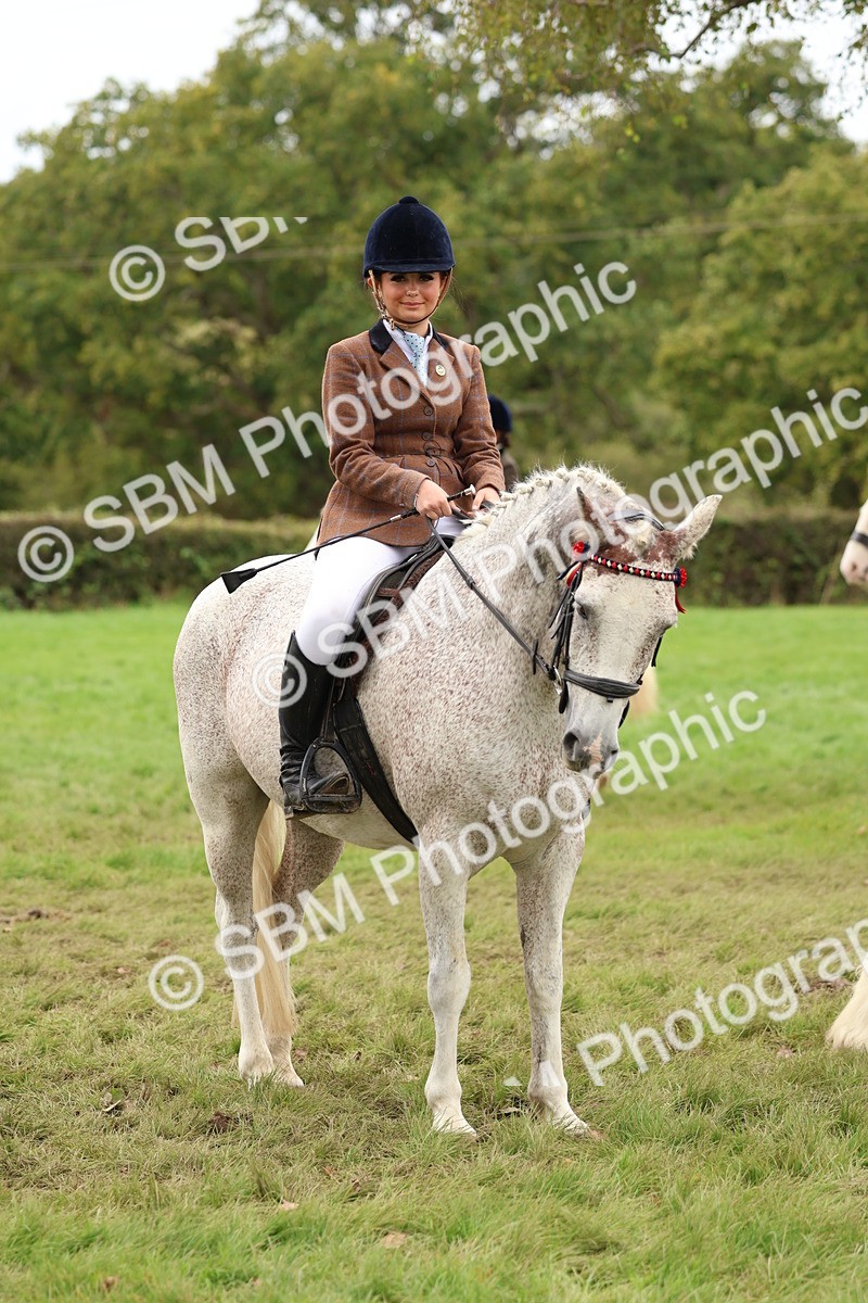 SBM_64658 - S58 - Coloured Pony Ridden