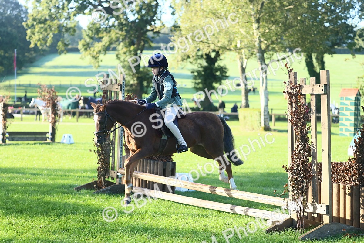 SBM_33401 - S28 - Nursery Stakes Working Hunter Pony