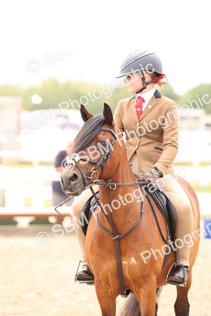 SBM_06240 - Class 57b -  Style & Performance - 60cm (20+)