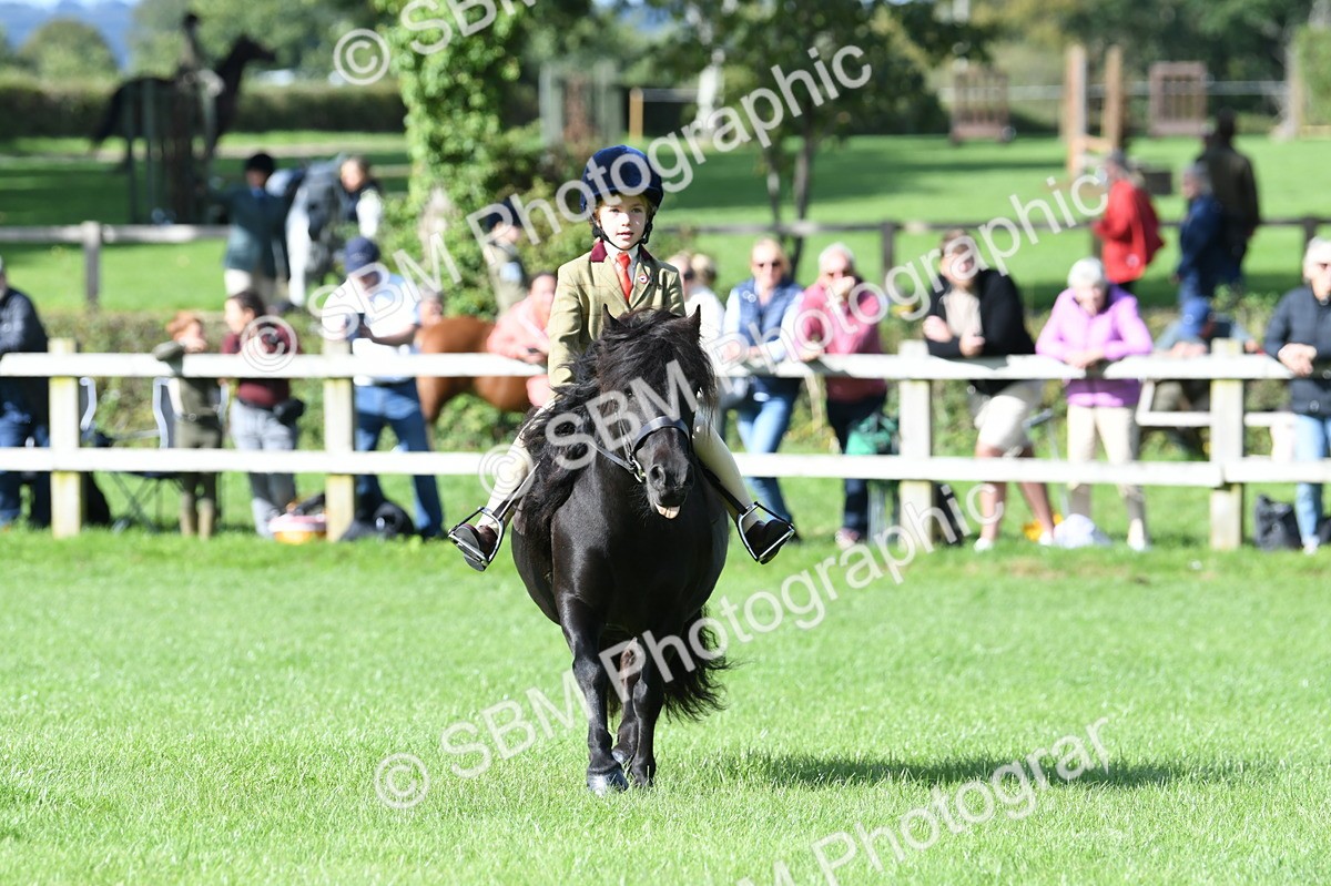 SBM_50320 - S21 - Novice & Newcomers 1st Ridden Pony