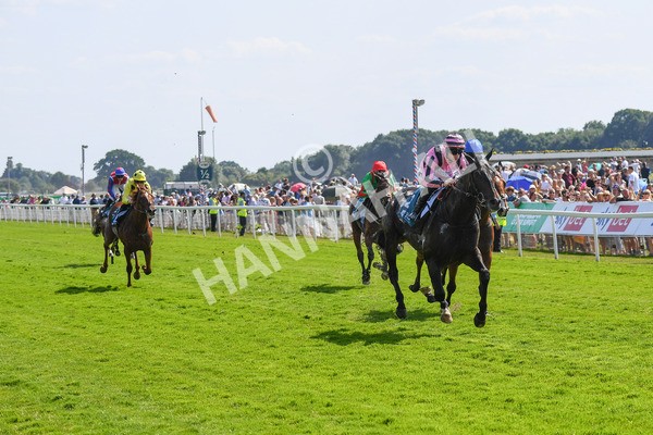 160623-Race 4-Chichester-0480 - Race 4 3.35pm Seat Unique Ganton Stakes