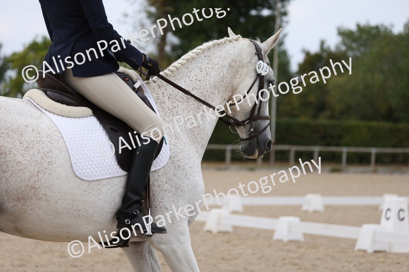 20250819-1618 - Class 6 - Elementary 1