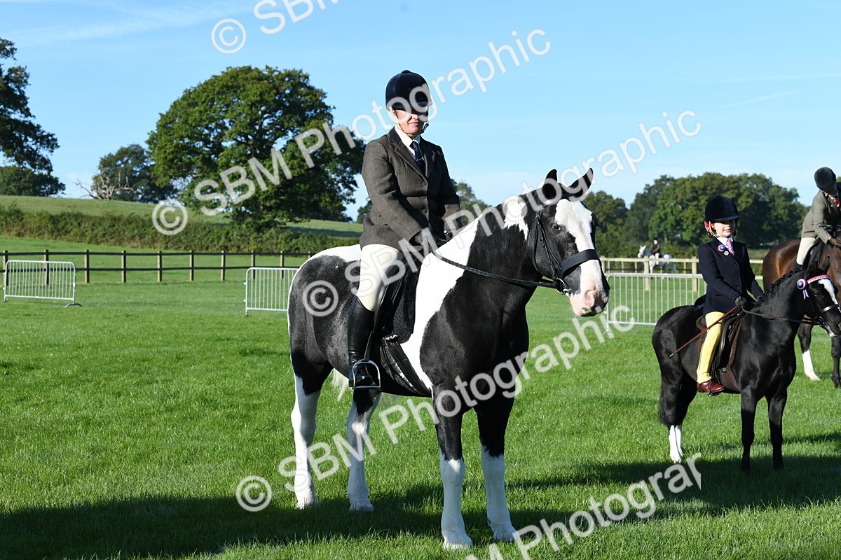 SBM_34030 - S16 - Condition & Turnout - Ridden