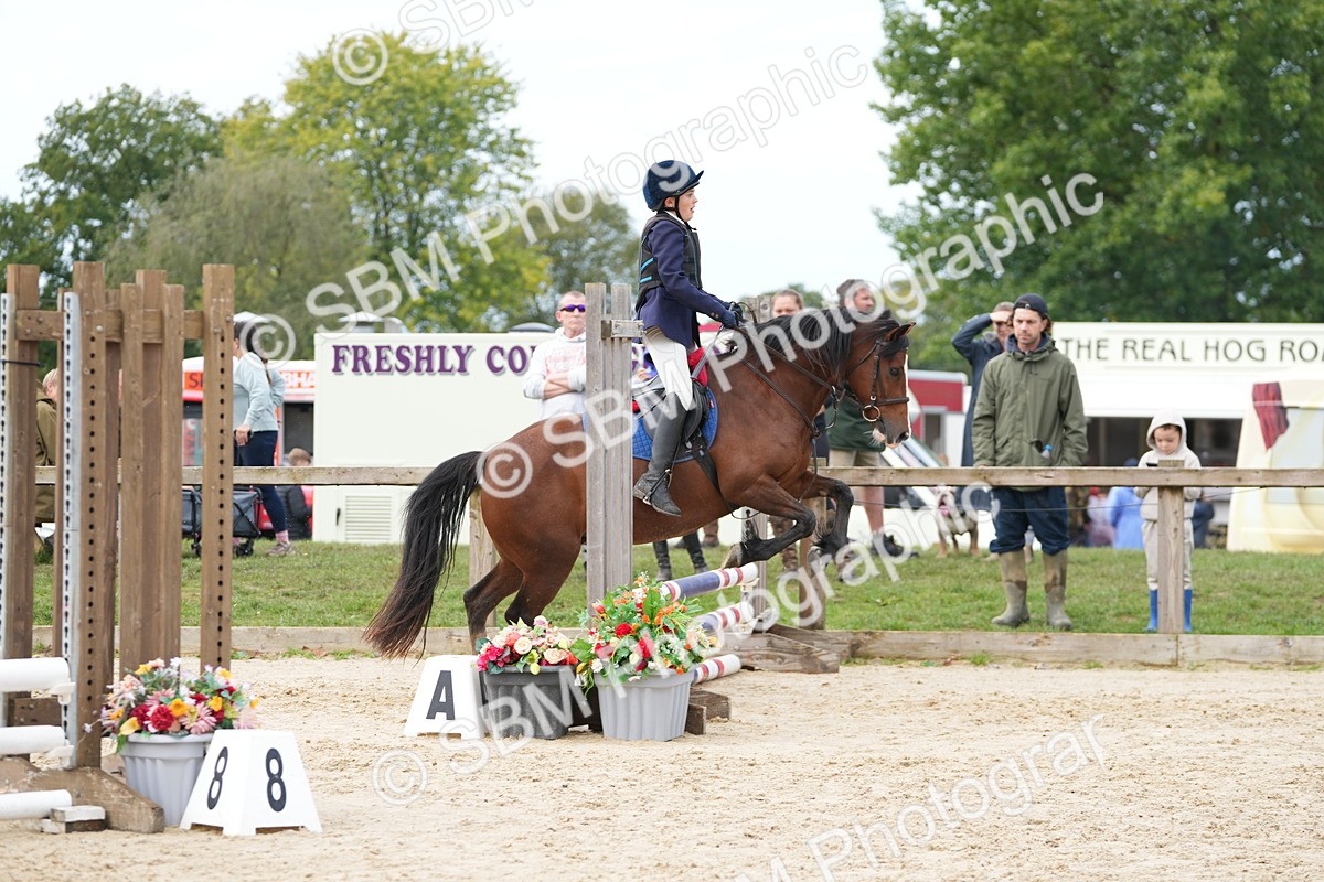 SBM_40065 - J6 - Junior Pony 55cm Championship