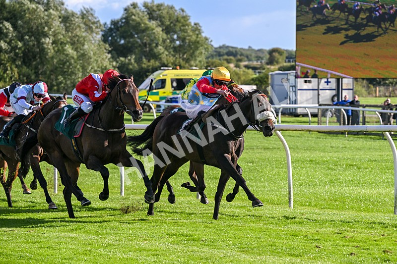 080926-Race 6-Filey Beach-3122 - Race 6 4.46pm Download The Raceday Ready App Handicap