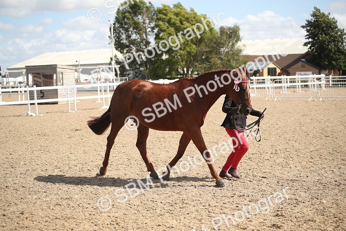 SBM_23144 - Class 606 - 2026 - Area - IH Pre Vet