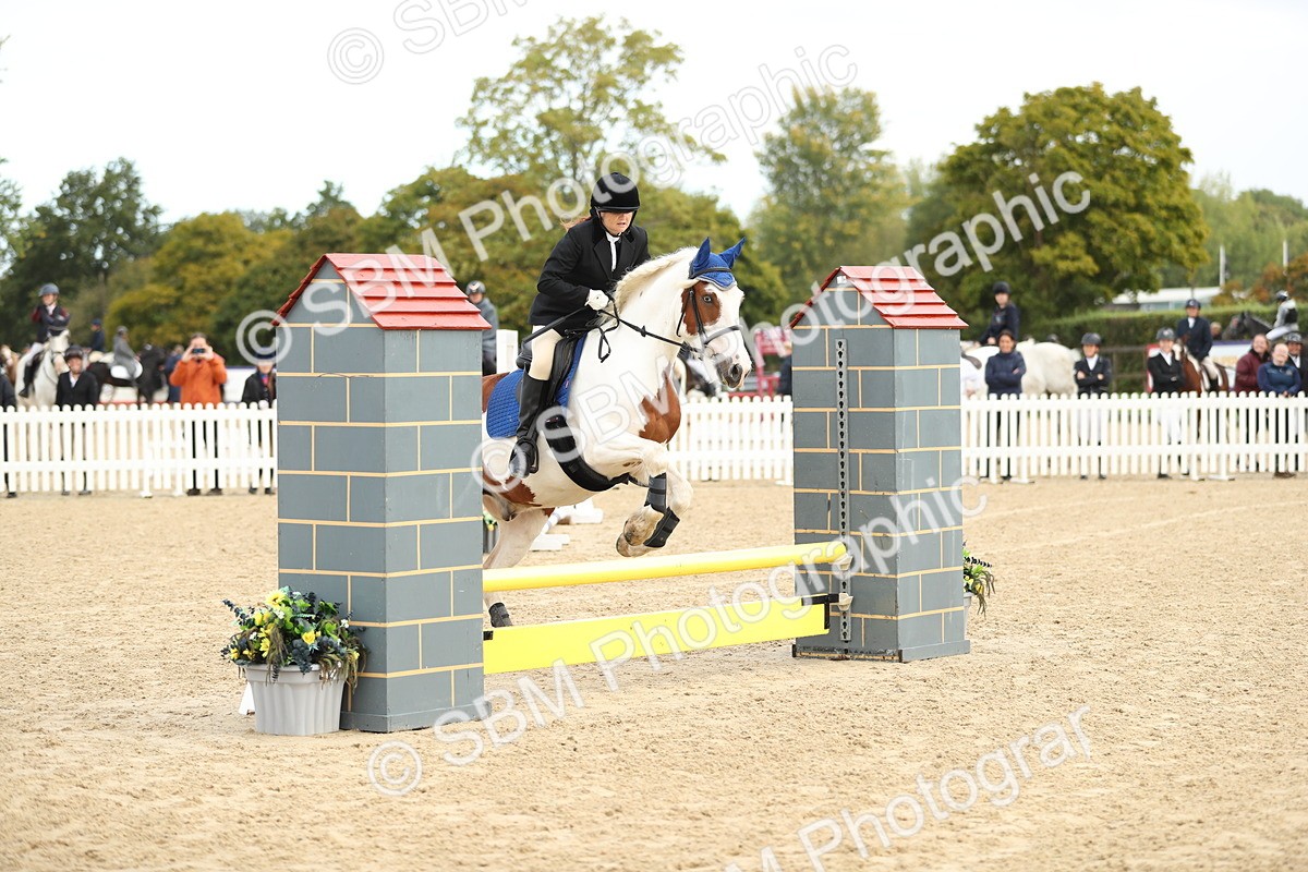 SBM_02023 - J34 - Veteran Rider 50cm