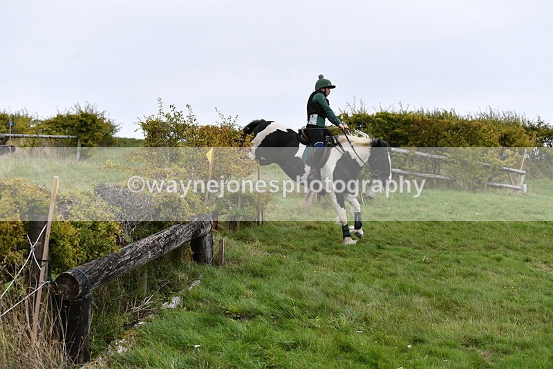 WJ5_6195 - Time 12:00 to 12:21