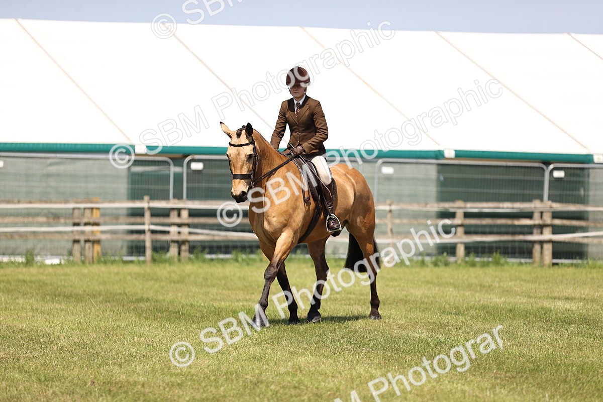SBM_15149 - Class 79-80 - LIHS BSHA Rising Star Ridden Hunter