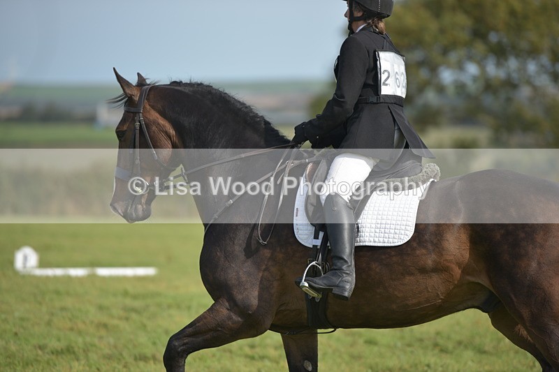 RAY_7925 - Class 2B: Trekenning Open: Dressage
