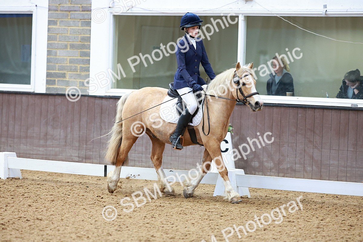 SBM_000566 - Class 4 - CT Prelim 3-70cm