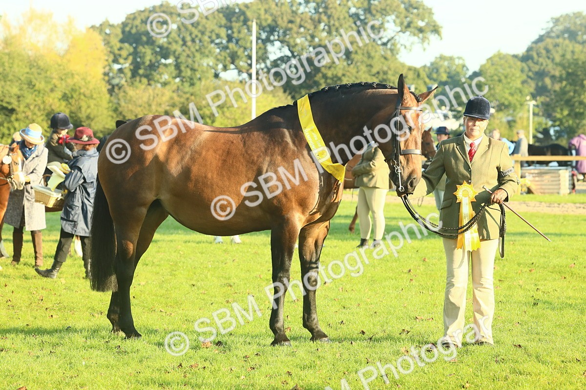 SBM_56741 - S36 - Starters Best Turnout
