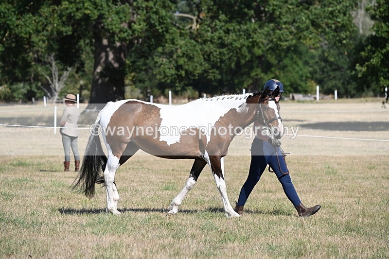 WJ6_4167 - Class 16 Condition & Turn Out