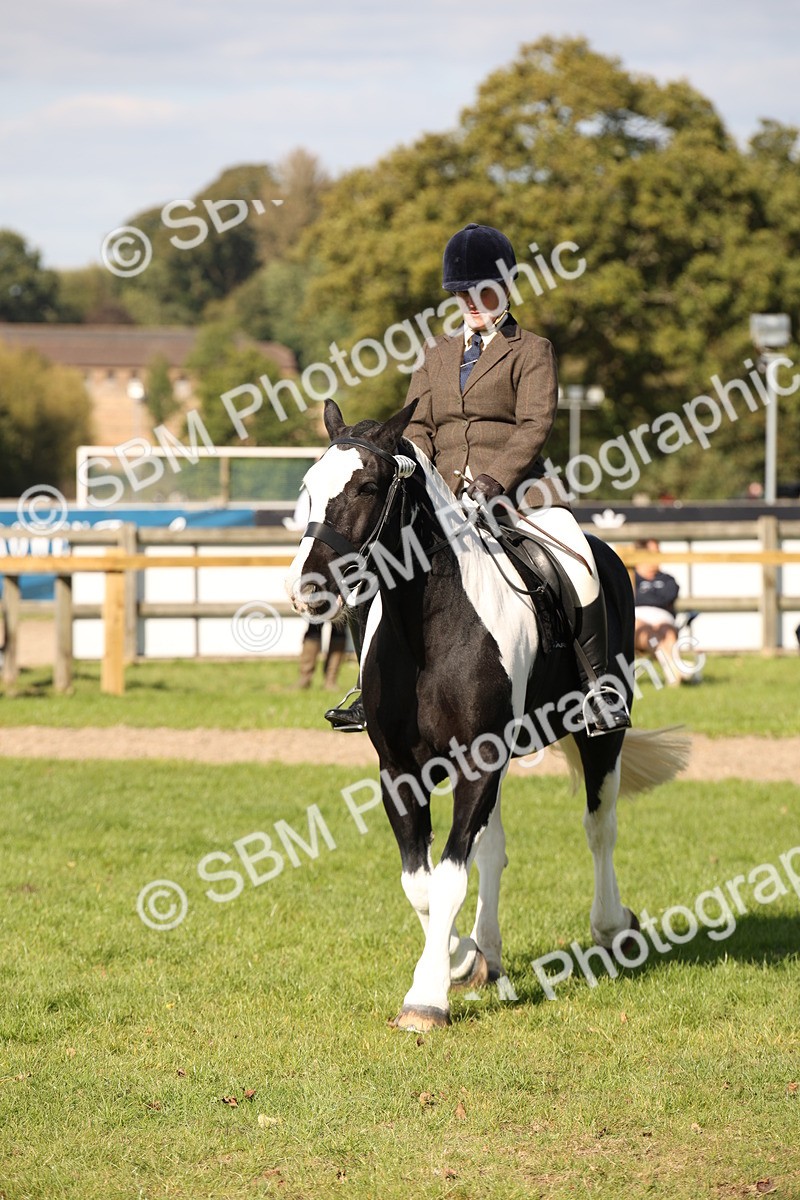 SBM_50074 - S26 - Young Veteran - Ridden