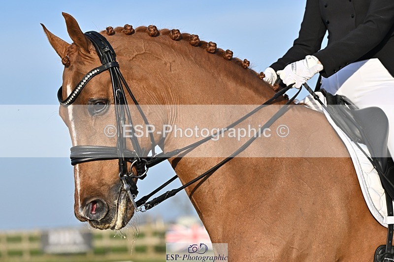 250404-183217-08696 - 150-Nathalie.Wahlund-Cerano.Gold