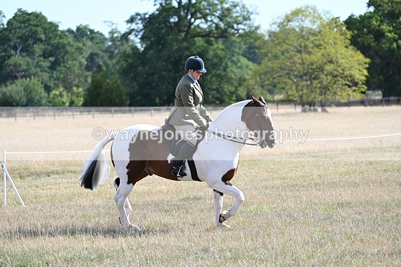 WJ7_2823 - Class 8 Ridden Tack & Turnout