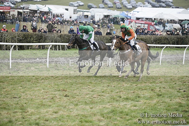 PtP 020418 -250 - Old Berks Point-to-Point Races Easter Monday 02/04/18
