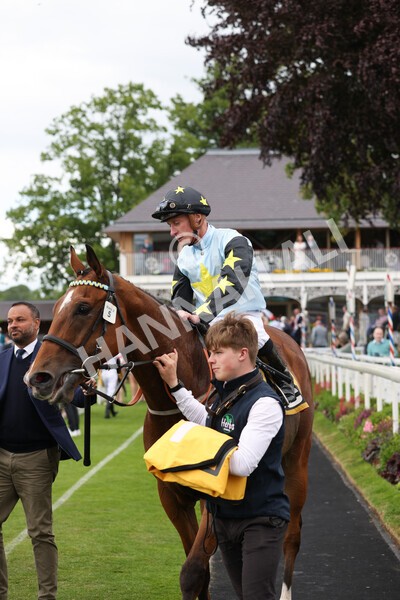 yr11062022r3-38 - Race 3 2.35pm The JCB Stakes