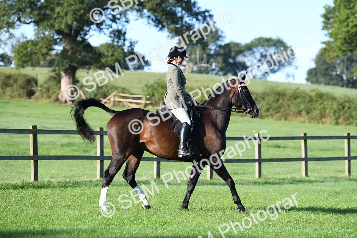 SBM_33986 - S16 - Condition & Turnout - Ridden