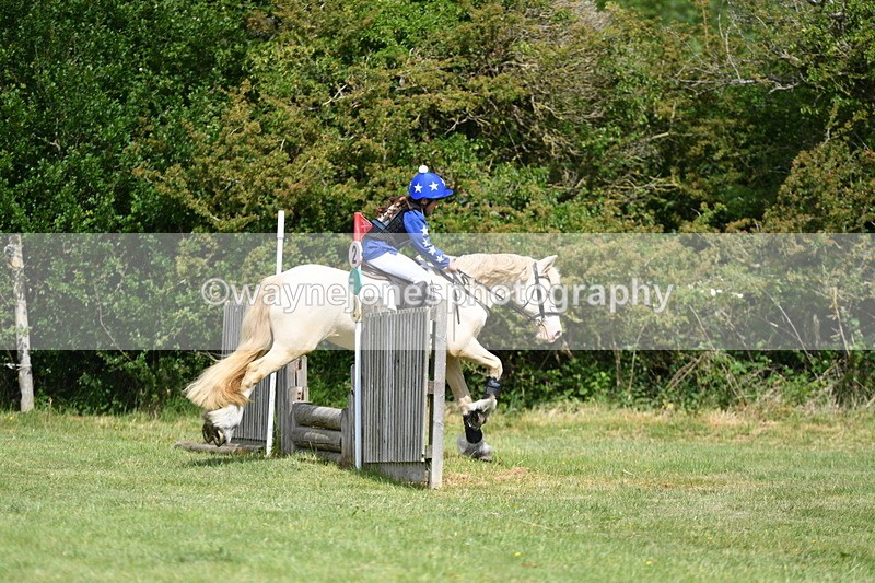 WJ5_2701 - Class 2 40cm