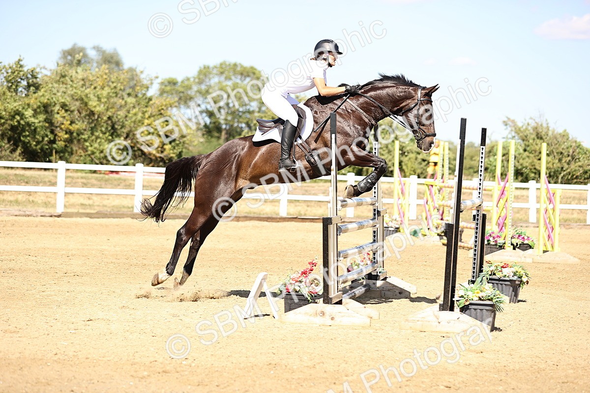 SBM_015446 - Class 16 - Senior foxhunter - 1.20m Open