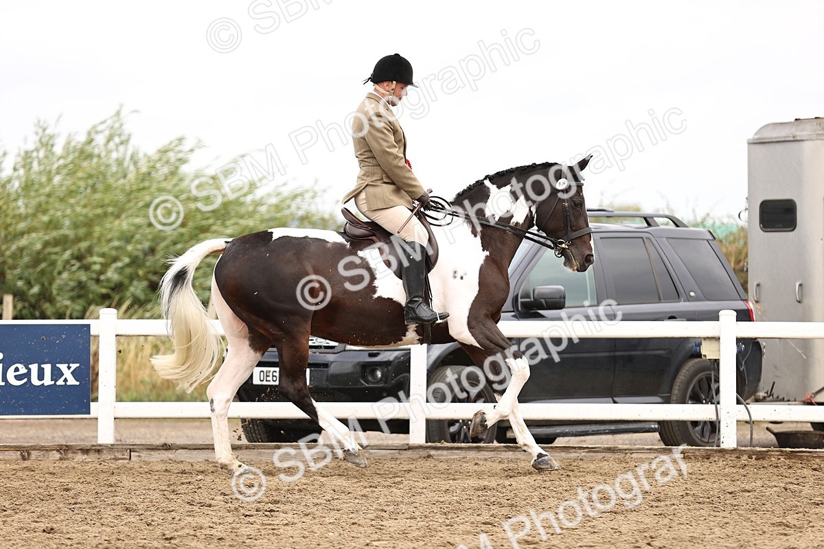 SBM_01457 - Class 54 - Riding Club Horse Pony