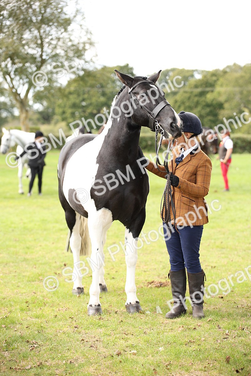 SBM_44512 - S24 - Young Veteran in hand