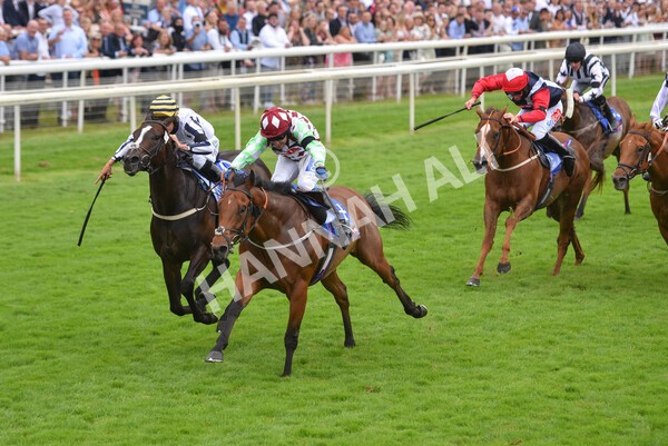 yr24072021r1-86 - Race 1 2.05pm Sky Bet Jump Jockeys Nunthorpe