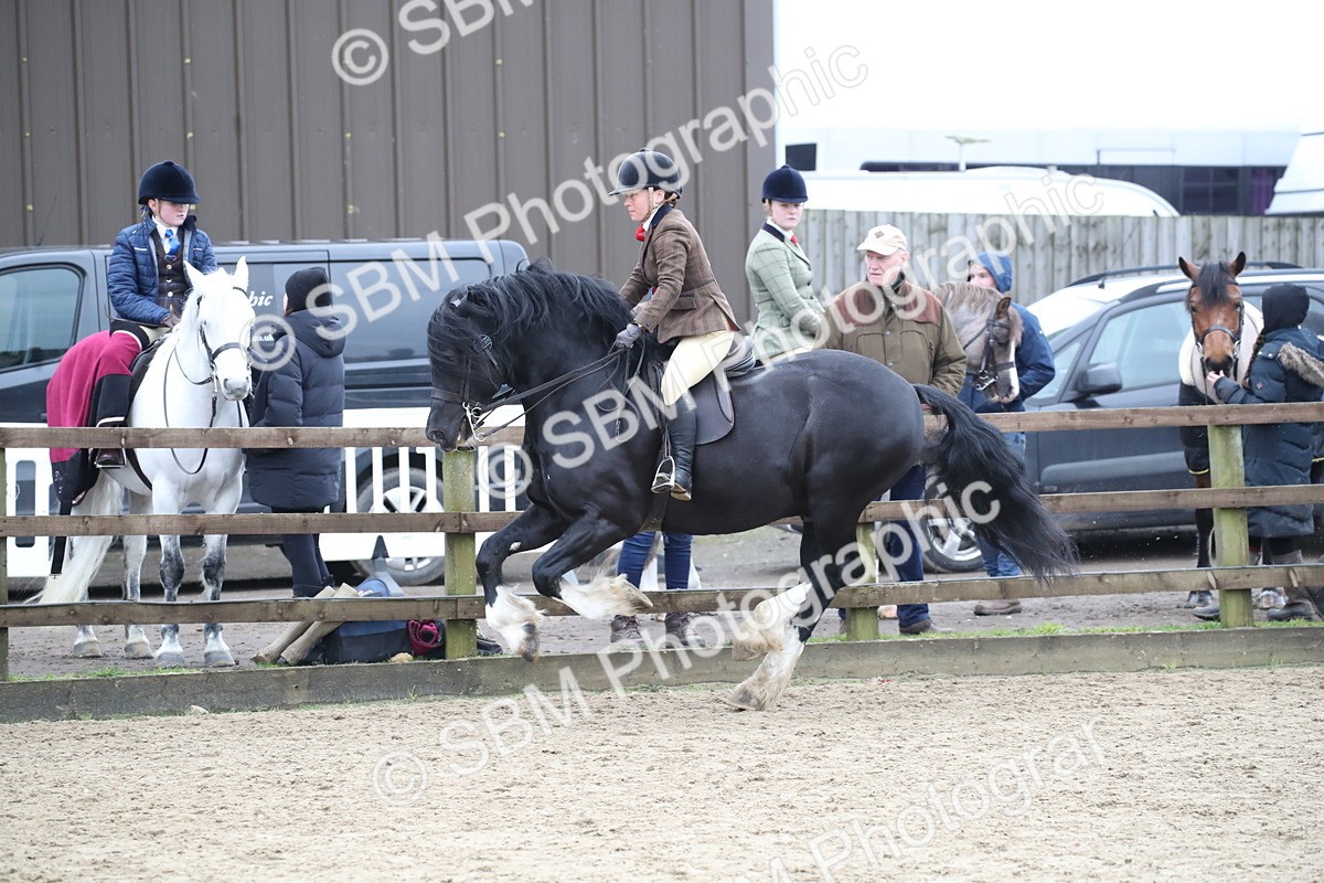 SBM_007111 - Class 10-13 - RIHS Small Large Breeds