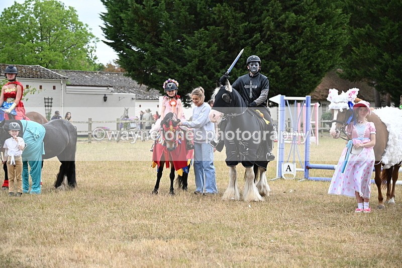 WJ6_9249 - Class 11 Fancy Dress