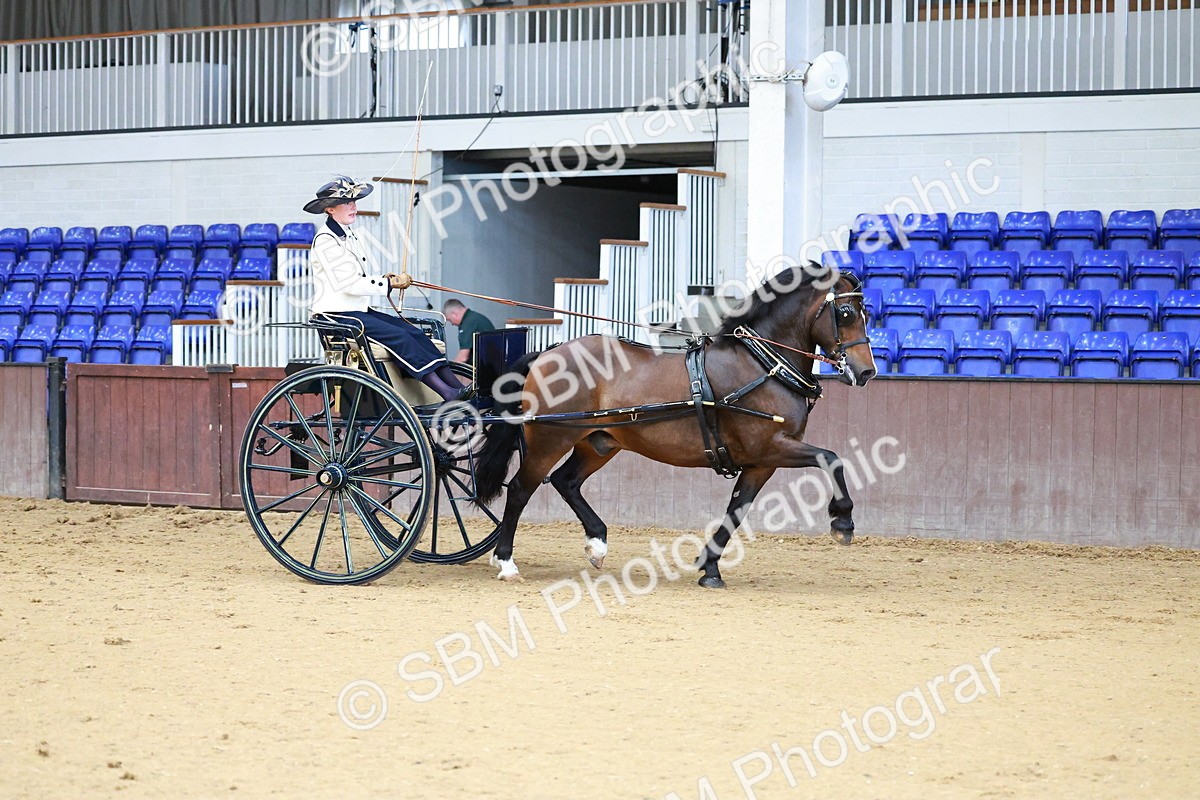 SBM_000174 - Class 3 - Alison Thomas Memorial Lady Whip