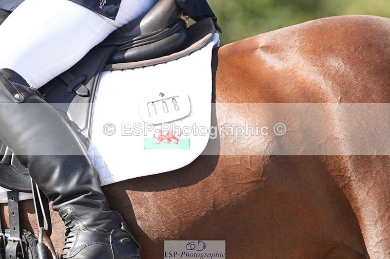 250906-151153-04684 - 108-Susan.JonesWoodlander.Summer.Breeze