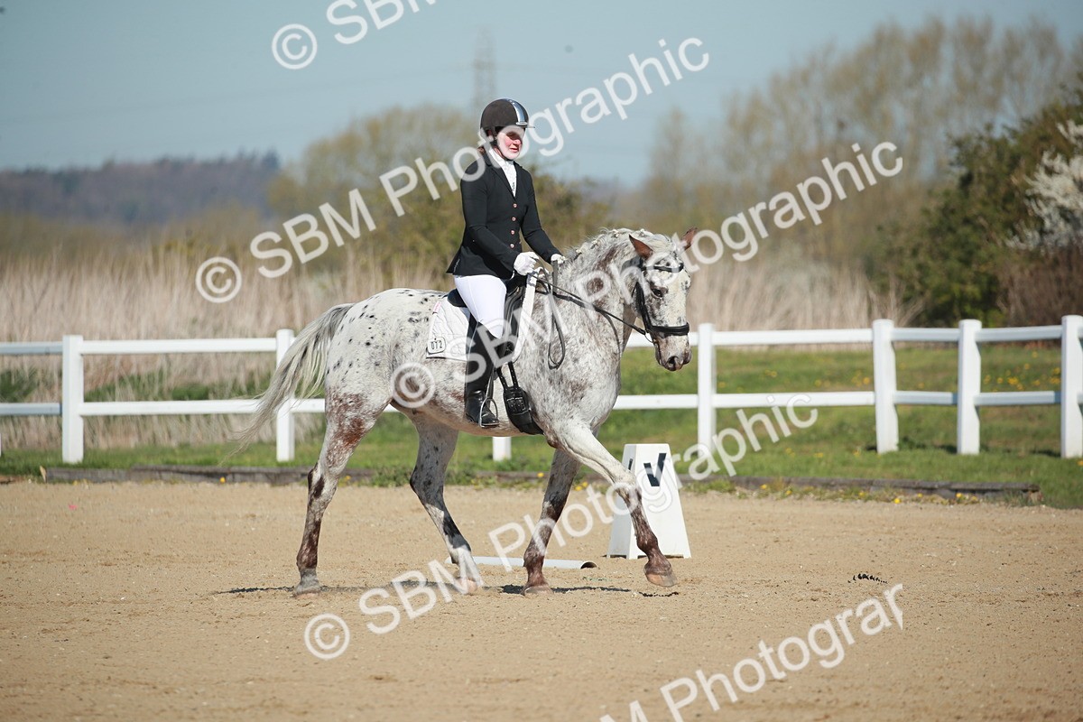 SJ3_0308 - Class 2 - P5