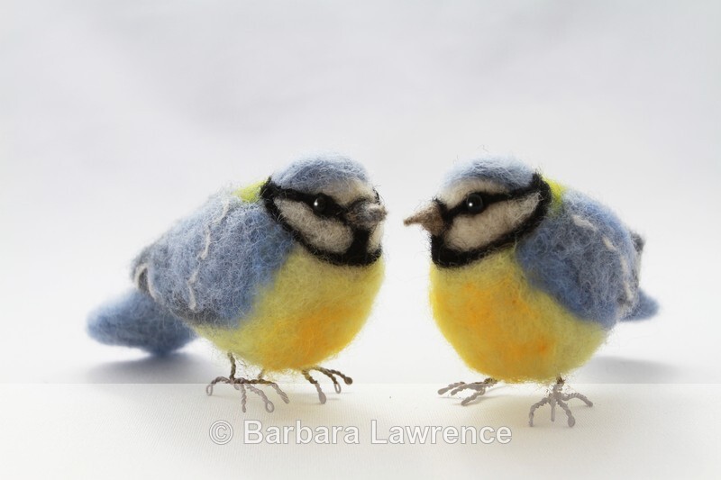 Blue Tits. - Gallery