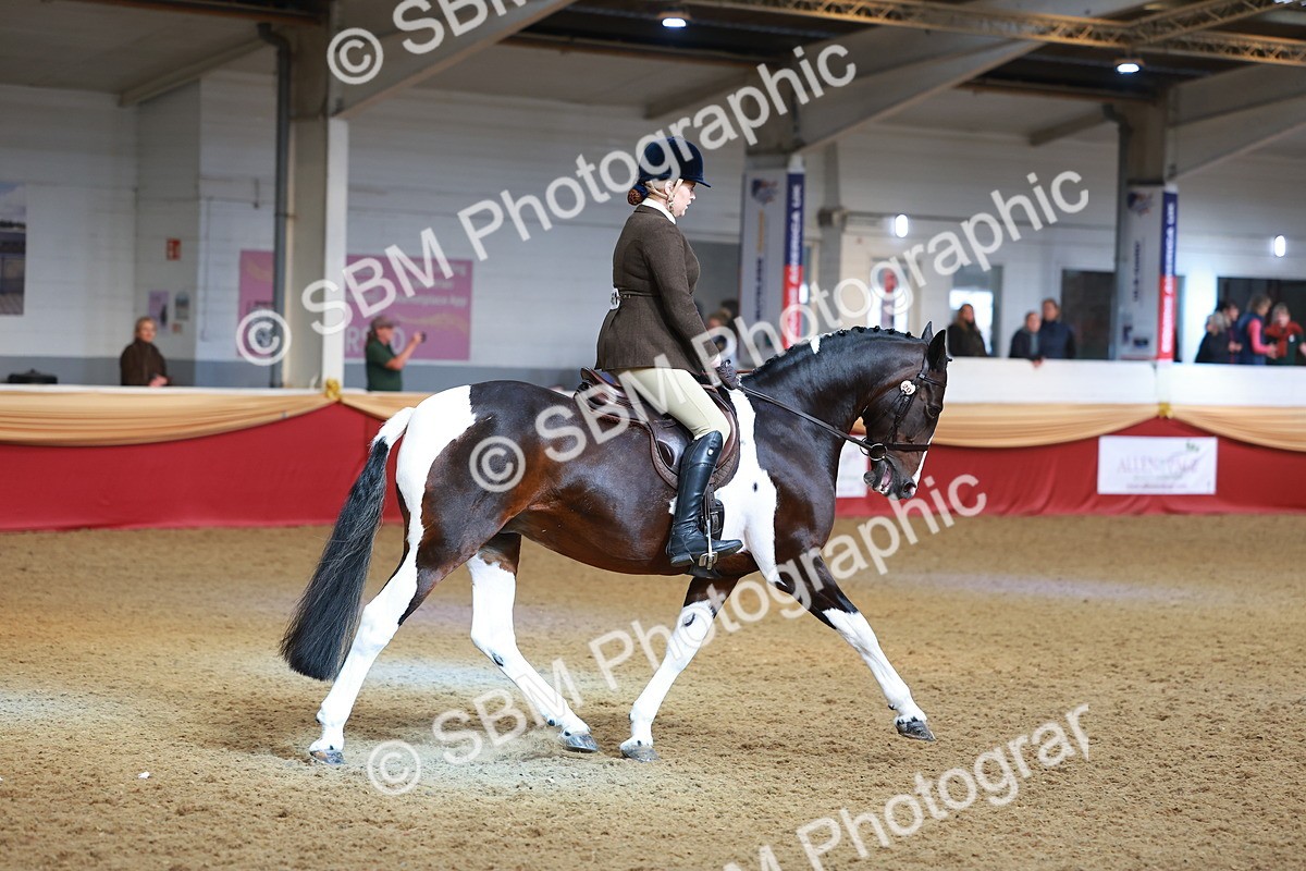 SBM_09765 - Class 102 - HOYS Veteran Qualifier - Ridden Veteran