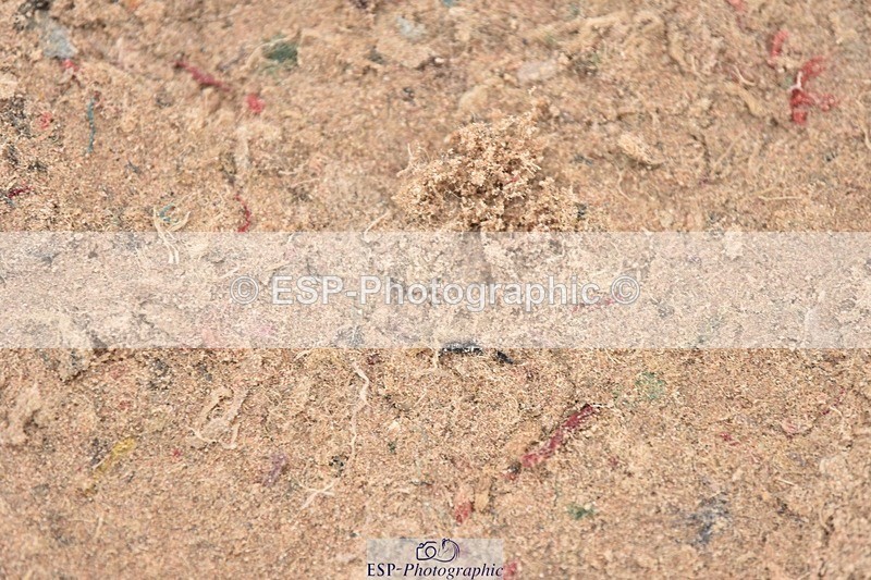 250830-115050-00785 - D-156-Coral.Hardman