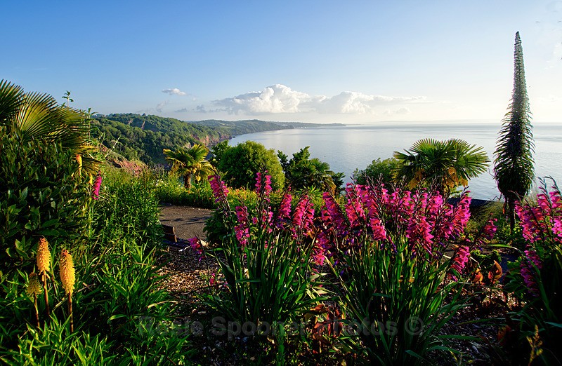  - Torquay See separate galleries for Cockington, Meadfoot and Anstey's Cove