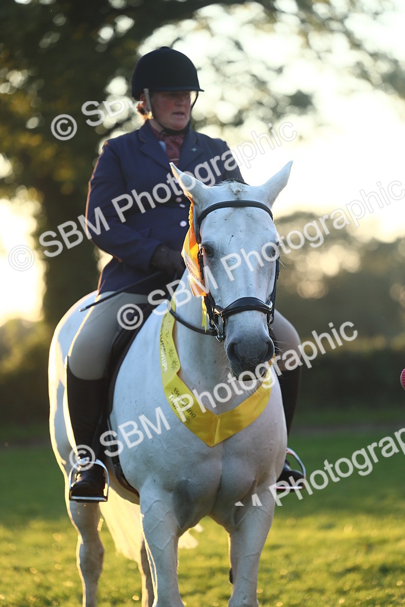 SBM_56669 - Fun & Versatile Supreme Championship