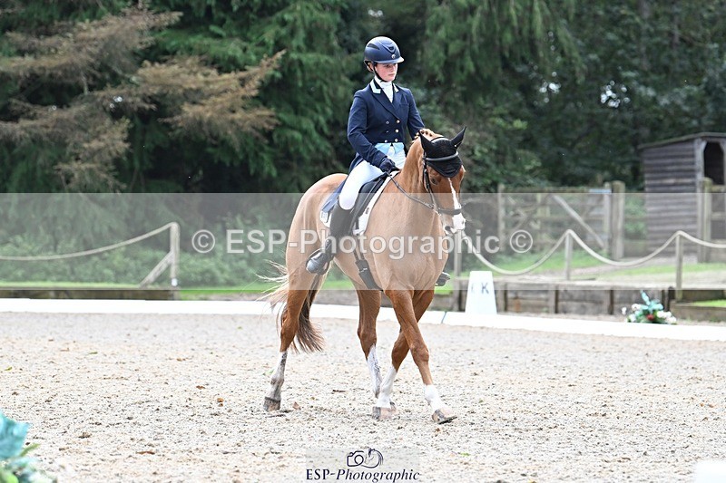 231019-130111-02905 - 049-AUGUSTUS.IMPERIOUS-Ines.Mitchell-DR