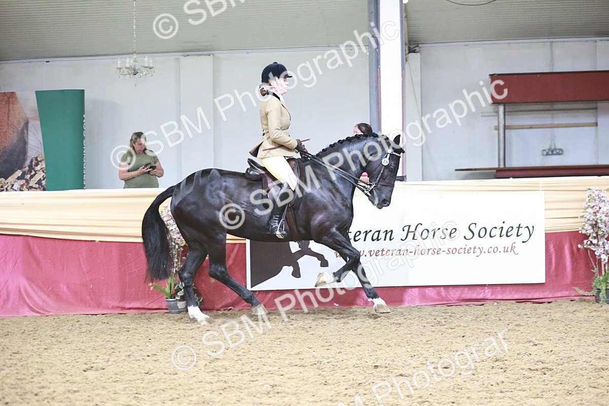 SBM_08834 - Class 12R - Regional Ridden Pre-Vet