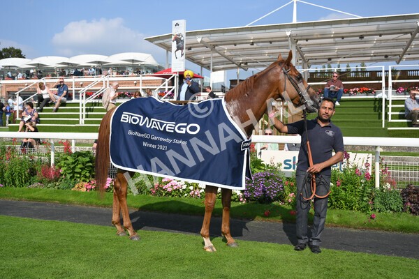 yr05092021r3-40 - Race 3 3.15pm The BioWaveGo Garrowby Stakes