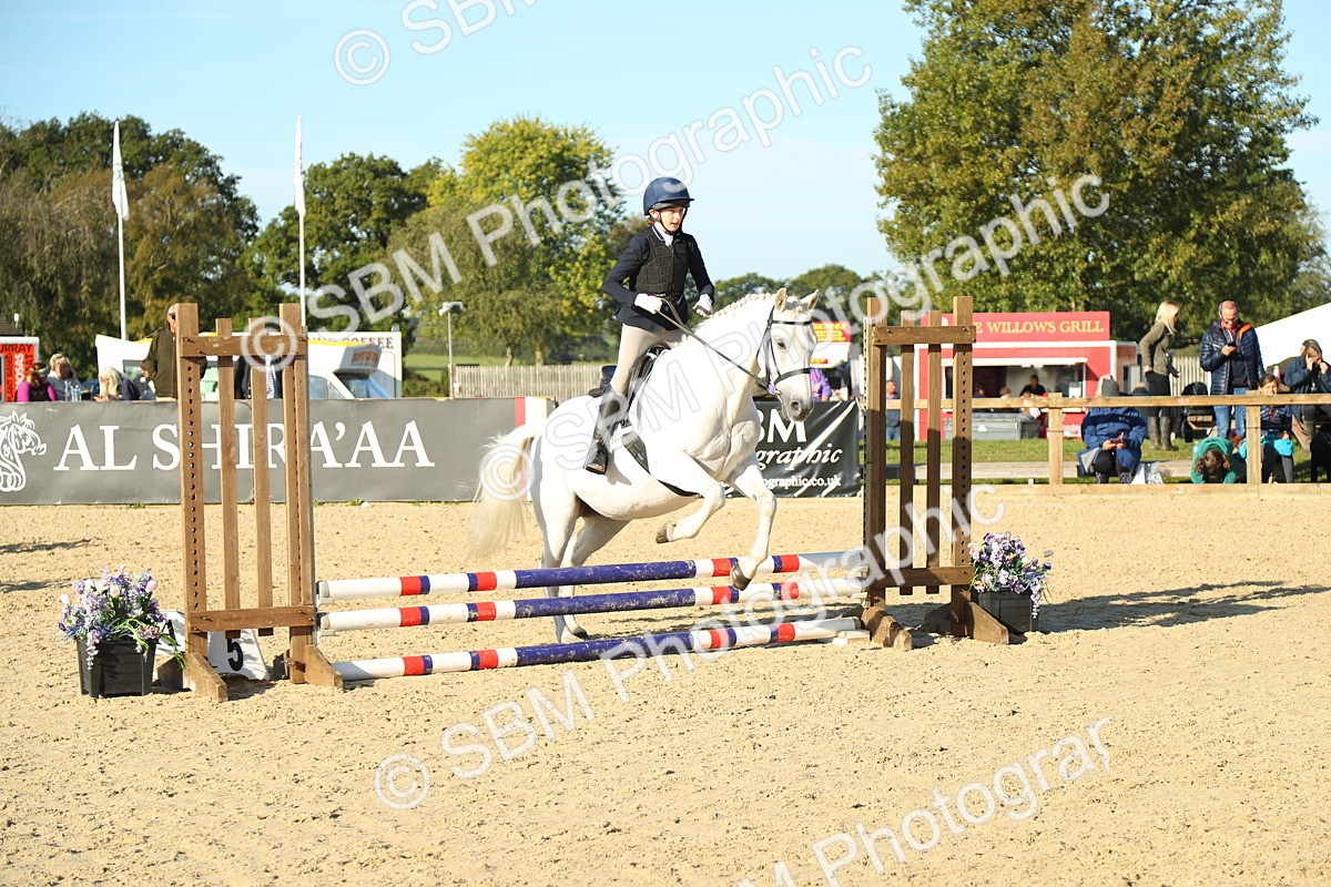 SBM_35056 - J5 - Junior Pony 50cm Championship