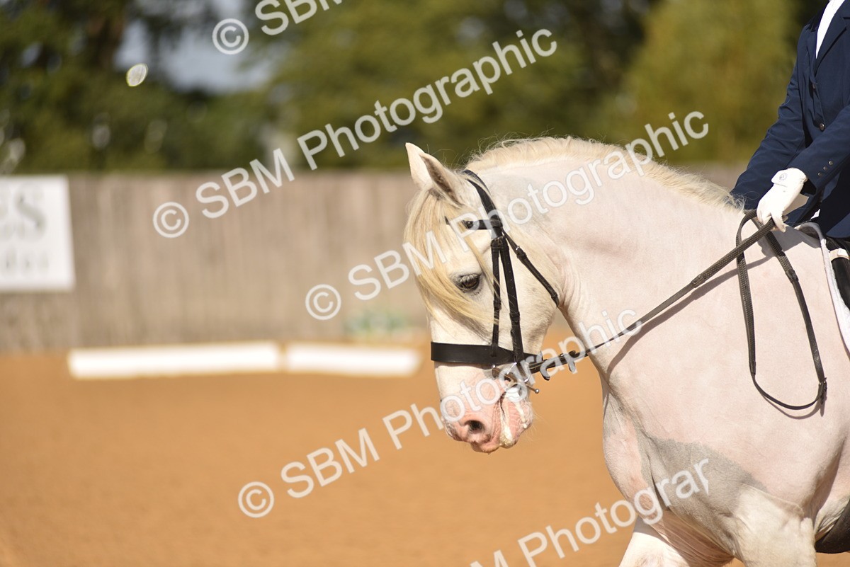 SBM_02959 - D4 - Small Tour Championship Intro 4