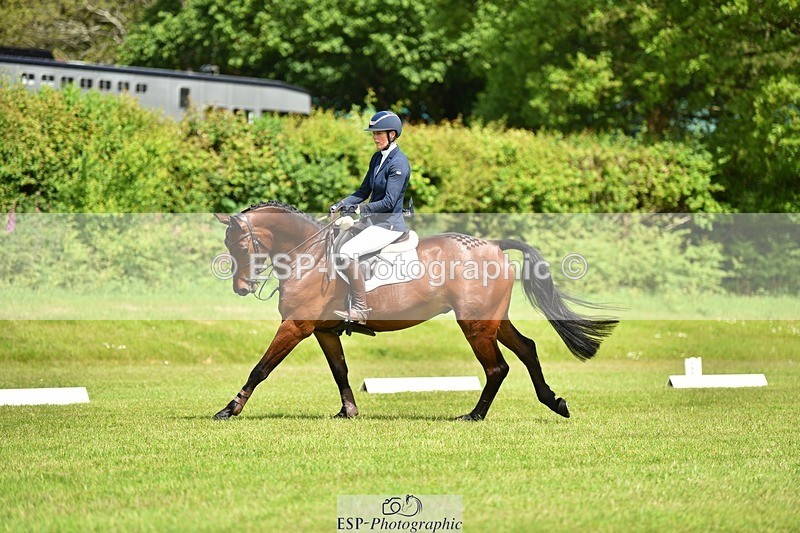 240523B-112302-01953 - 5 Year Old