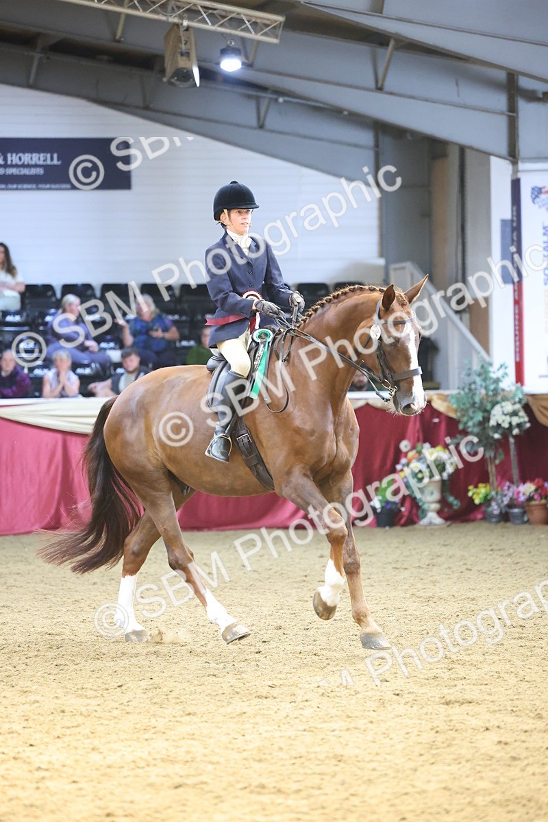 SBM_24708 - Class 906 - Supreme Final - Ridden Pre Vet