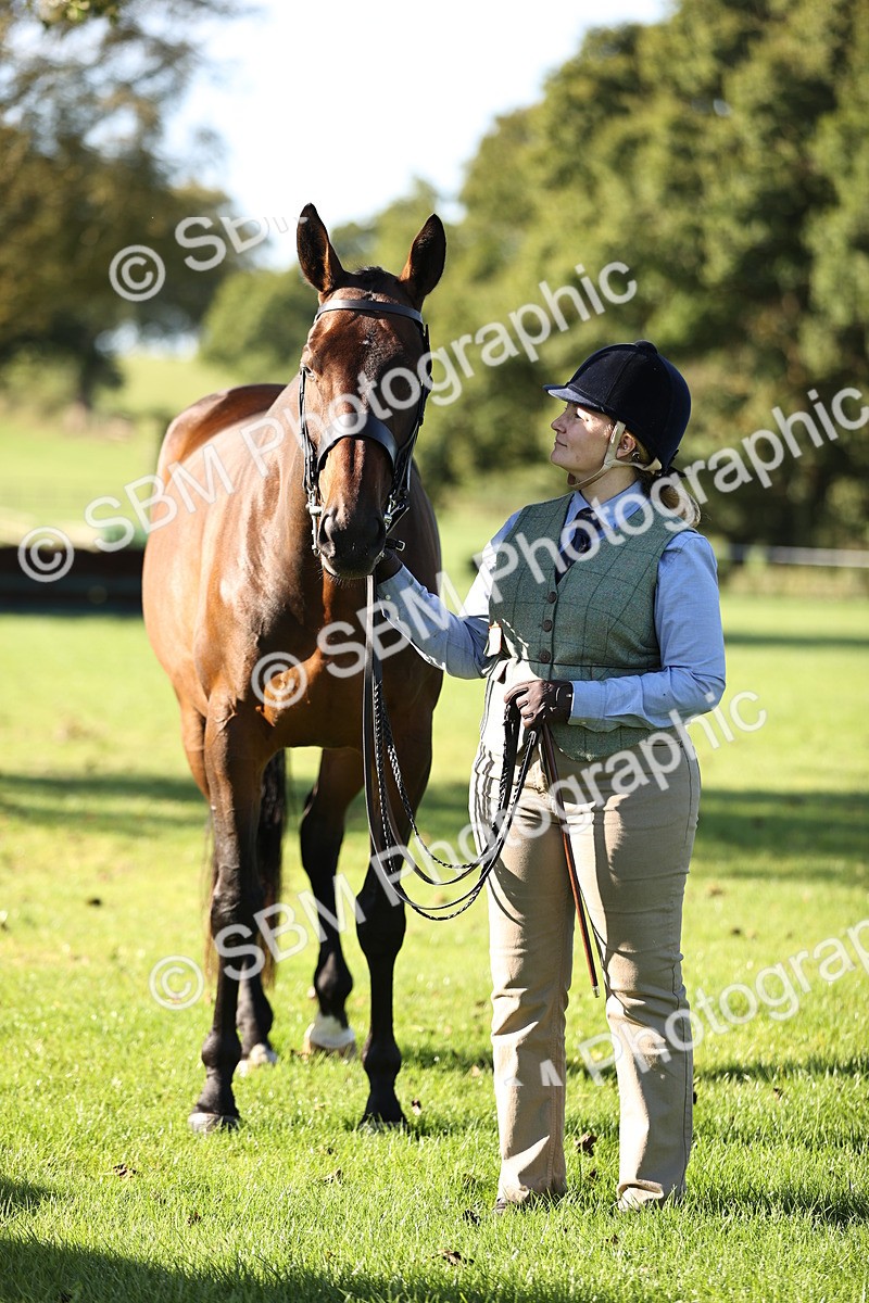 SBM_15781 - S1 - TSR in Hand Horse & Pony Showing
